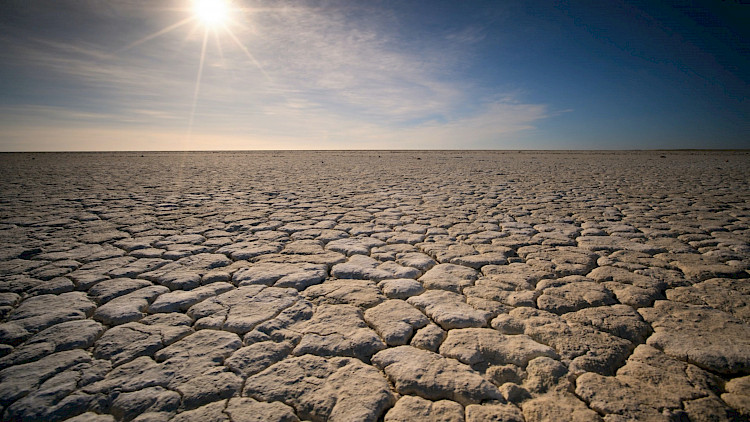 Fidelity International Institutes Environment and Equality Policies:  Investee Companies Ignore them At Their Peril