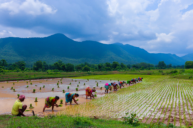 Mars Spearheads Water Management Programme to Help Safeguard At-Risk Communities