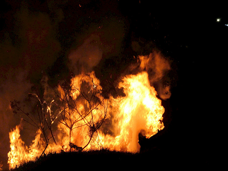 Fiddling While Rome Burns