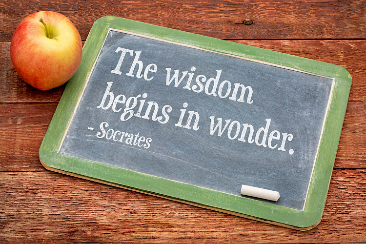 The Beautiful Gift of Bestowing Curiosity